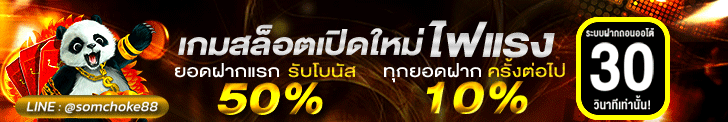 ผู้สนับสนุน